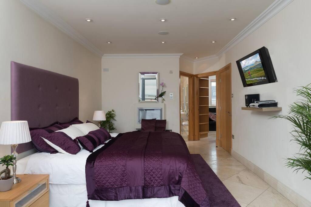 Luxury Center Penthouse - Location Appartement *